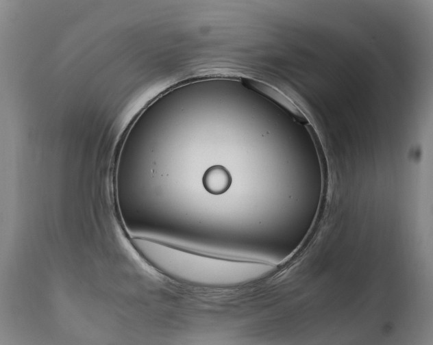 X0000111251293200907091414