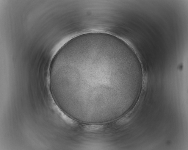 X0000111251294200907091414