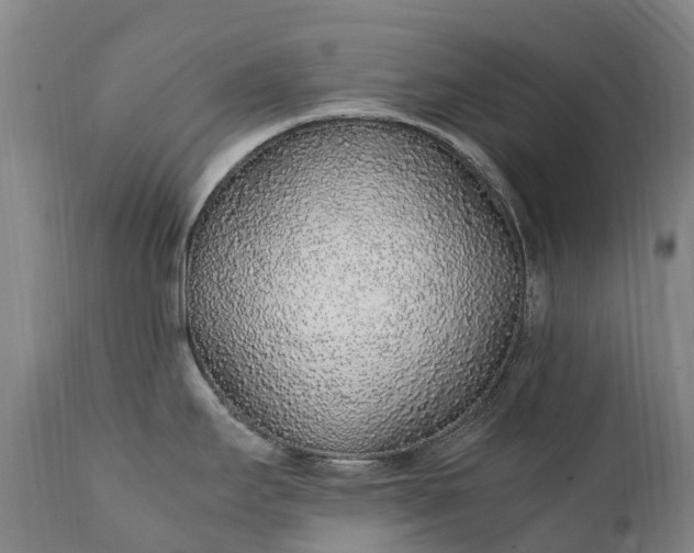 X0000111251295200907091414