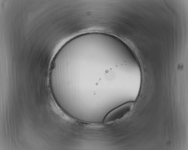 X0000111251296200907091414