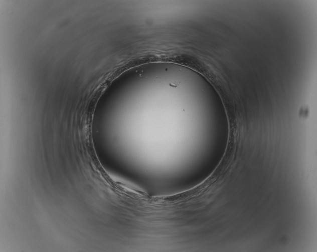 X0000111251298200907091413