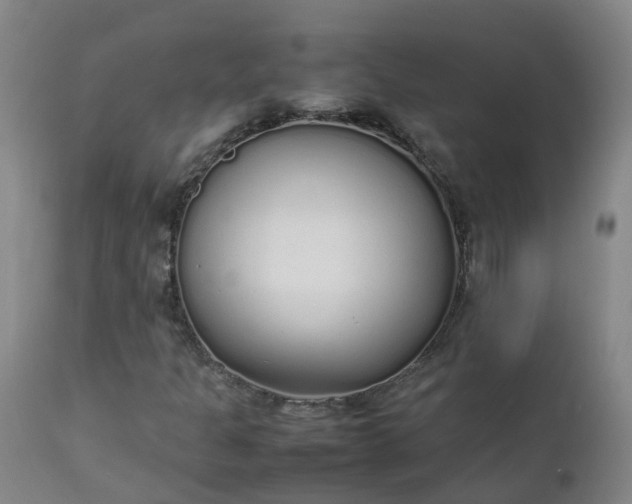 X0000111251301200907091413