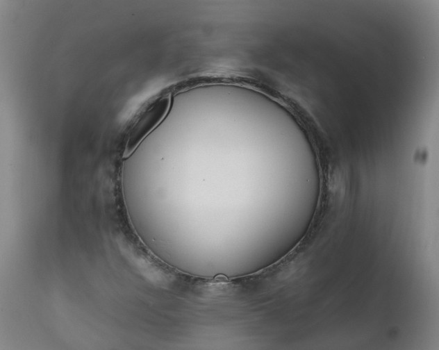 X0000111251304200907091413