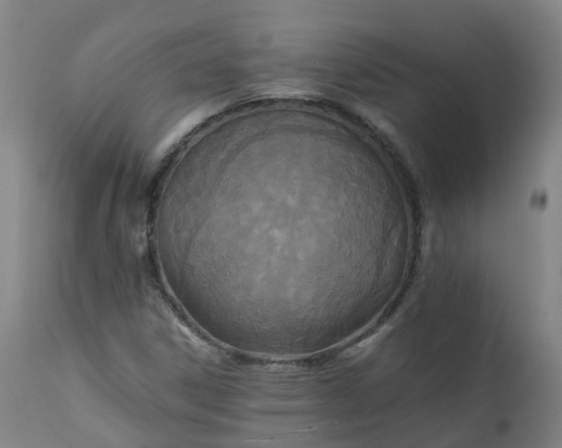 X0000111251306200907091414