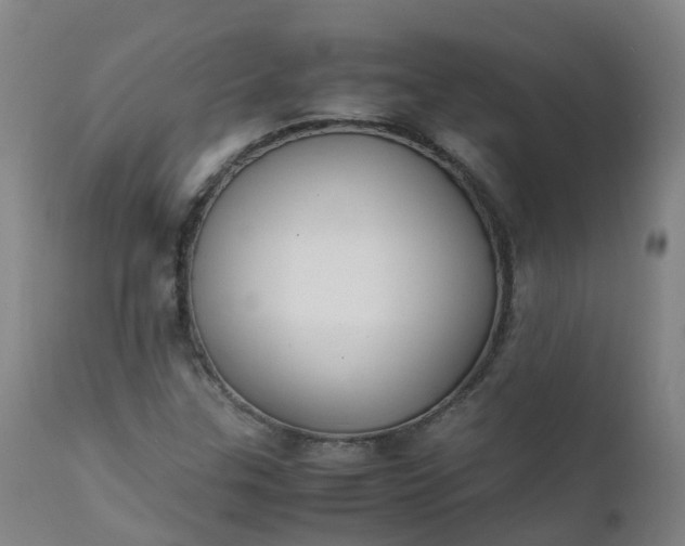 X0000111251307200907091414