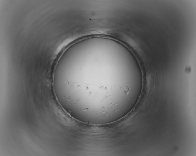 X0000111251308200907091414