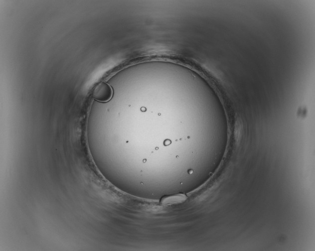 X0000111251309200907091414