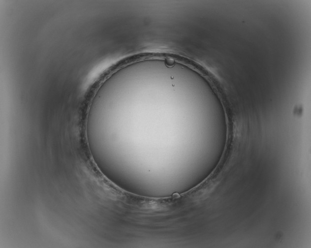 X0000111251311200907091414