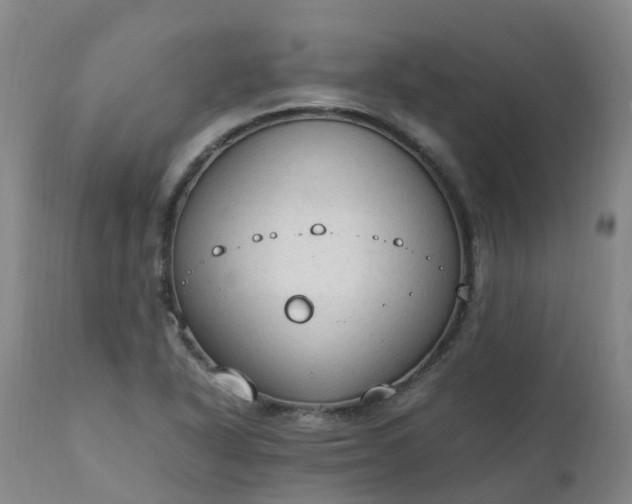 X0000111251318200907091414