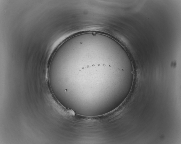 X0000111251324200907091414