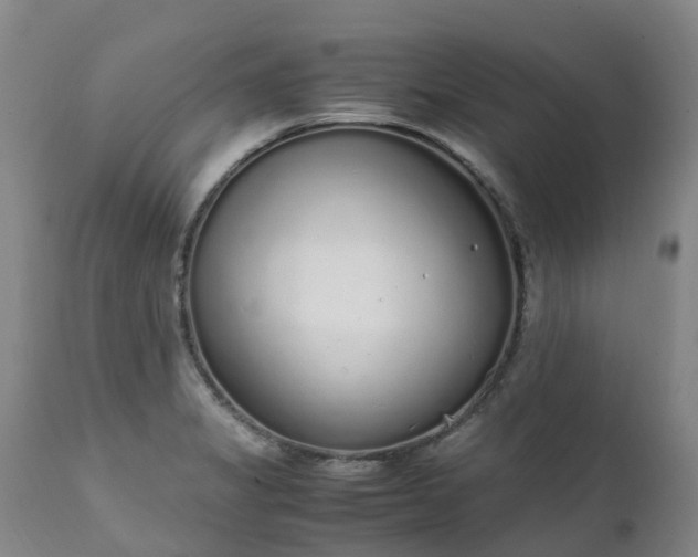 X0000111251325200907091414