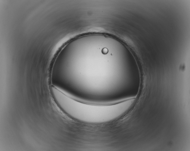 X0000111251326200907091414