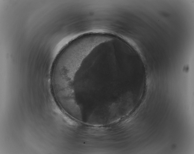 X0000111251327200907091414