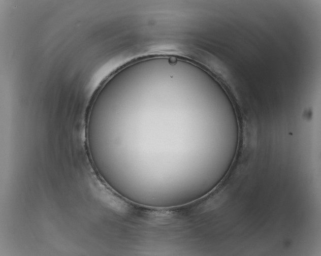 X0000111251328200907091414