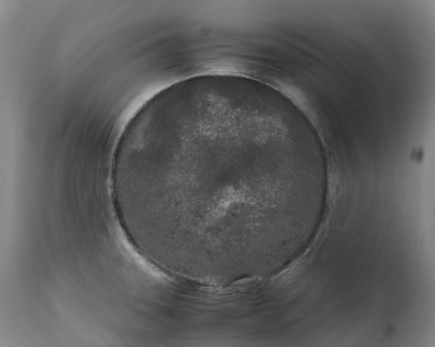 X0000111251331200907091414