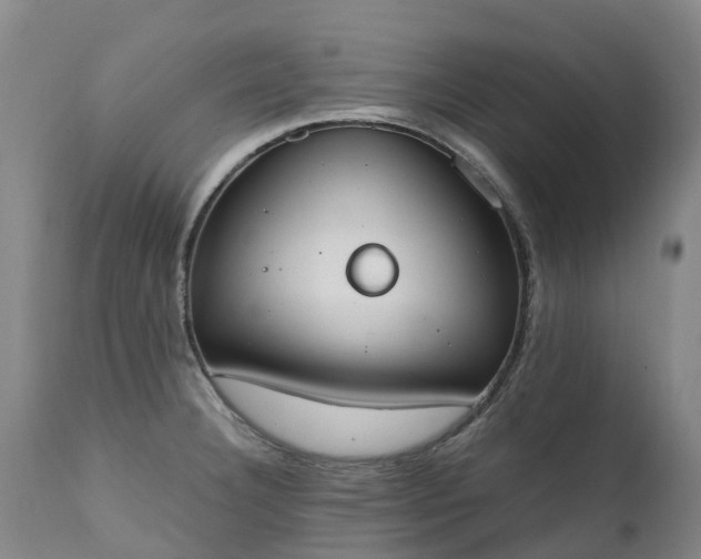 X0000111251332200907091414