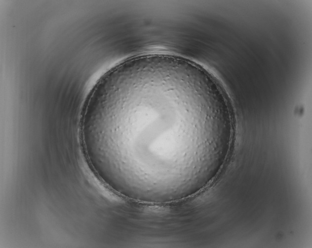 X0000111251333200907091414