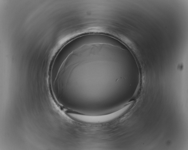 X0000111251334200907091414