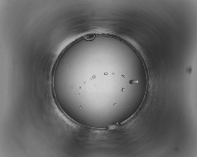 X0000111251335200907091414