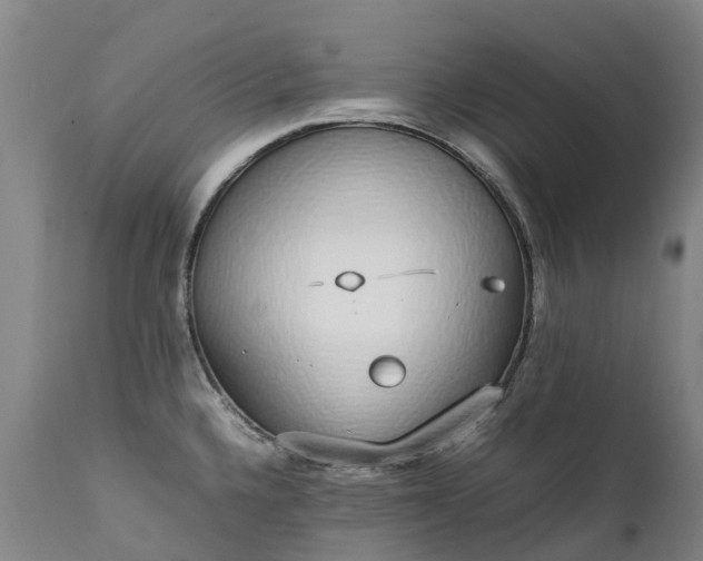 X0000111251336200907091414