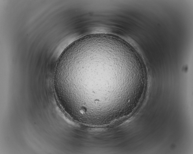 X0000111251337200907091414