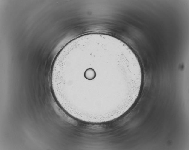 X0000111251338200907091414