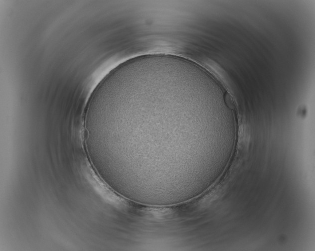 X0000111251340200907091414