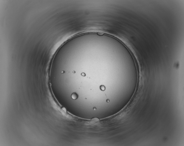 X0000111251341200907091414