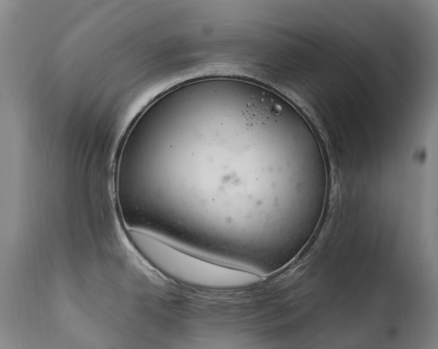 X0000111251342200907091414