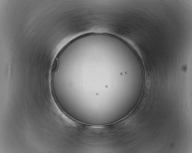 X0000111251343200907091414