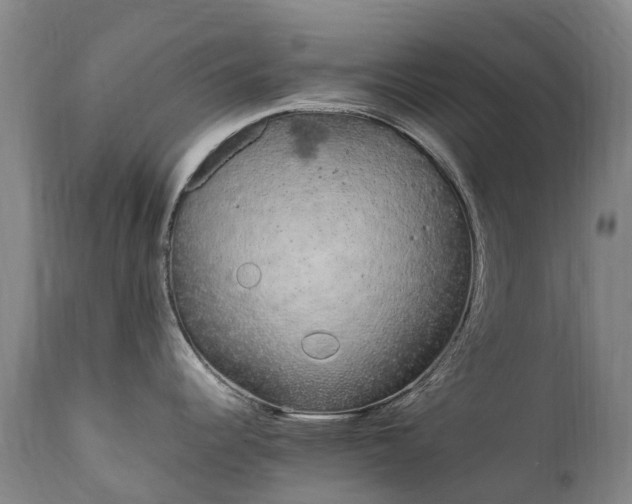 X0000111251344200907091414