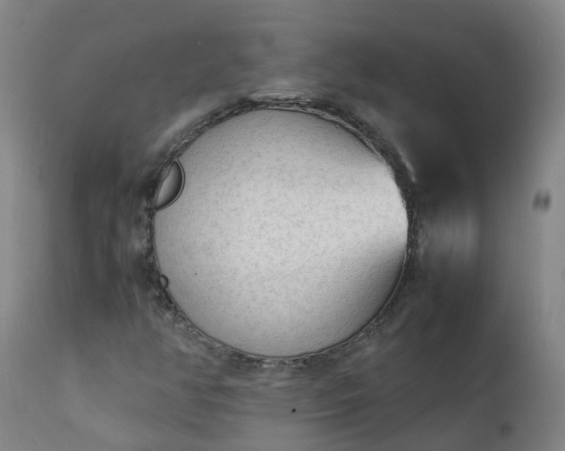 X0000111251350200907091413
