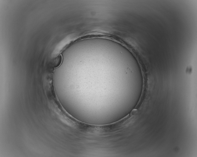 X0000111251355200907091413