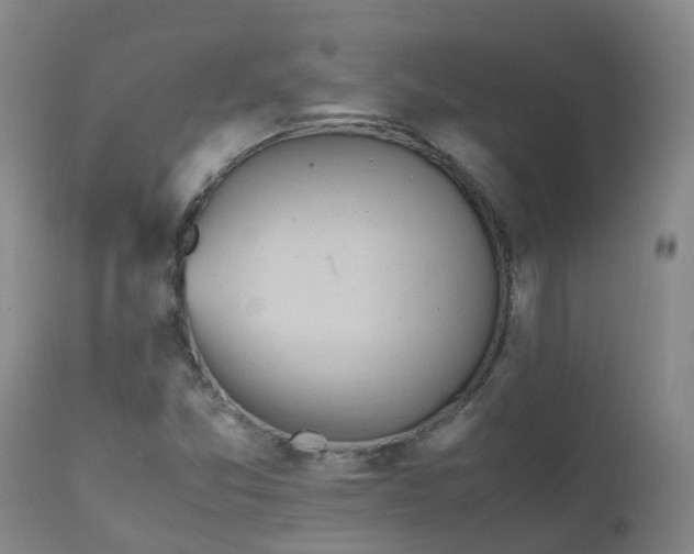 X0000111251357200907091413
