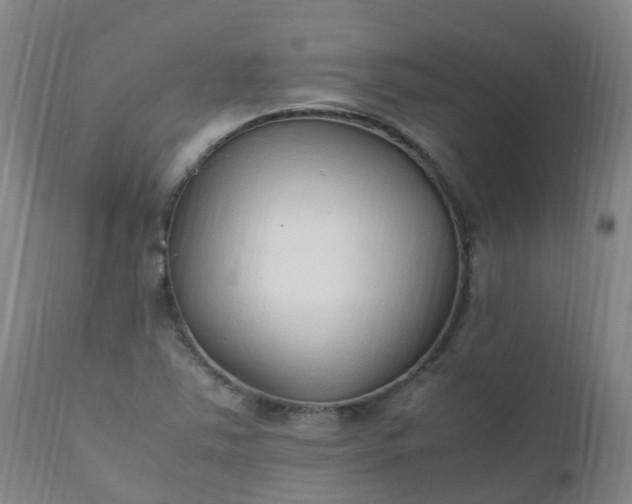 X0000111251363200907091413