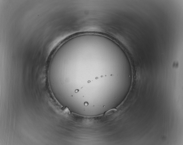 X0000111251364200907091413