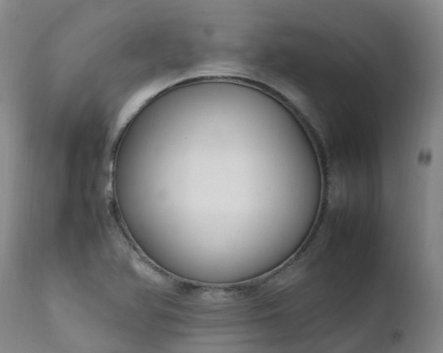 X0000111251366200907091413