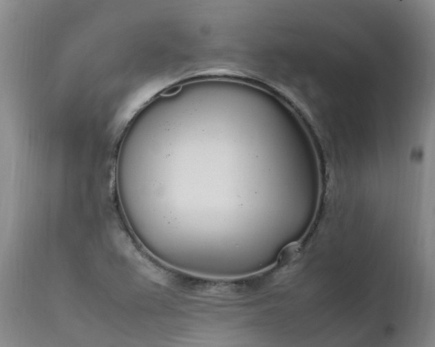 X0000111251367200907091413