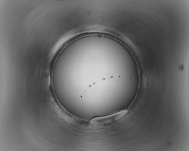 X0000111251368200907091413