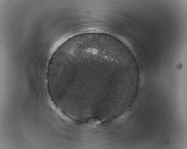 X0000111251373200907091413