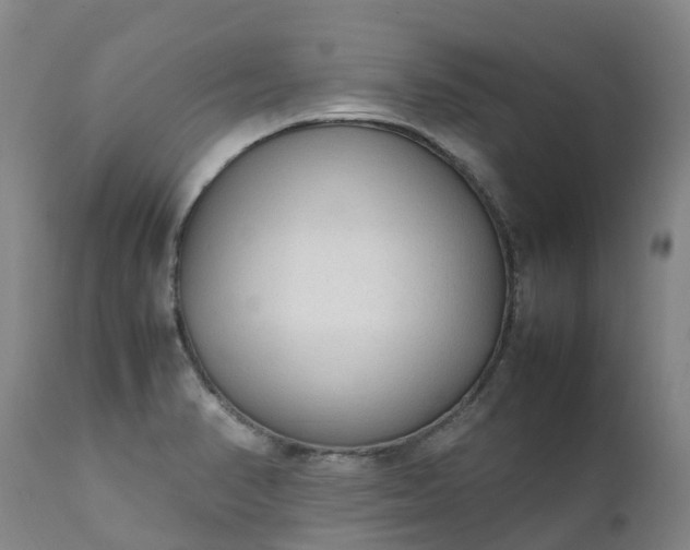 X0000111251374200907091413