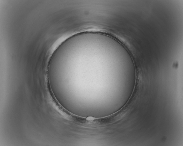 X0000111251375200907091413