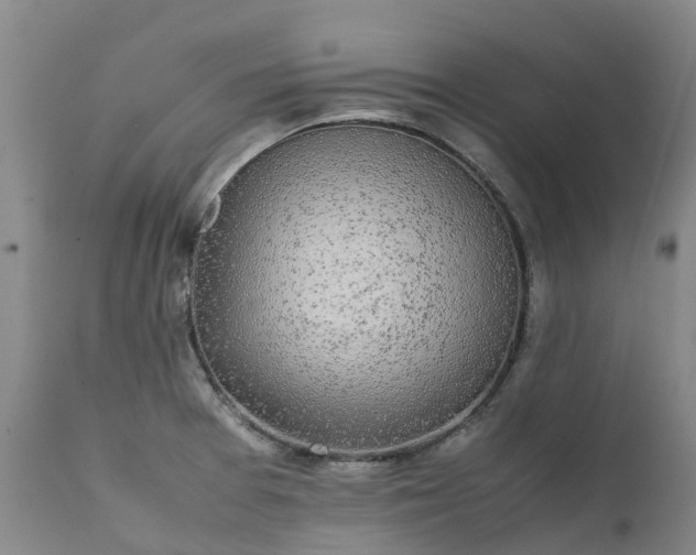 X0000111251377200907091413