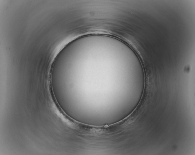 X0000111251379200907091413