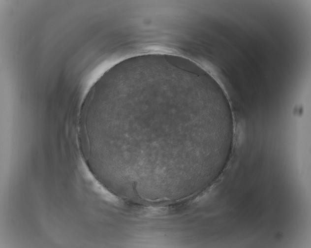 X0000111251381200907091413