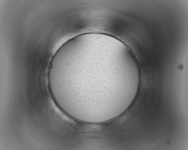 X0000111251382200907091413
