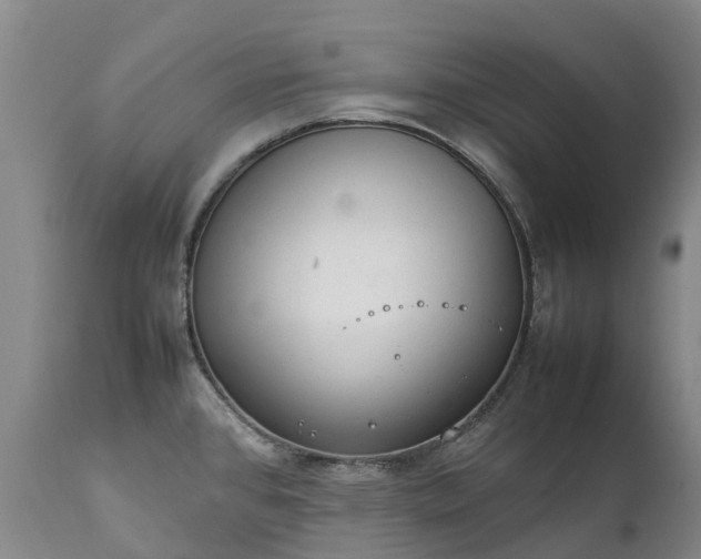 X0000111251384200907091413