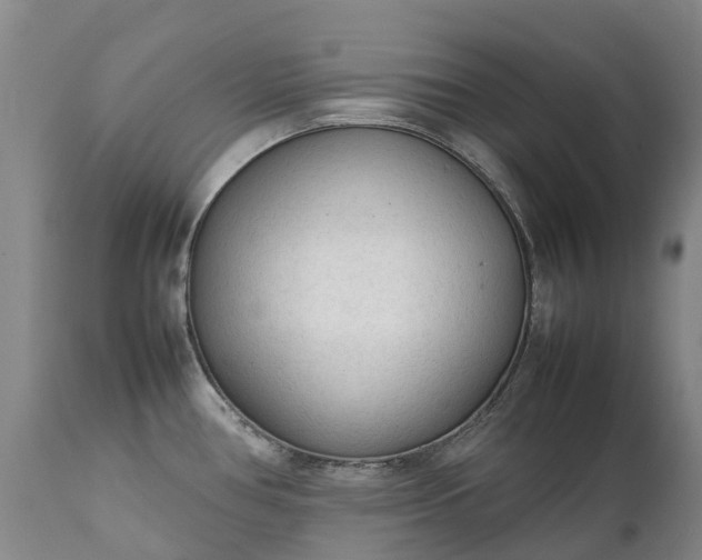 X0000111251386200907091413