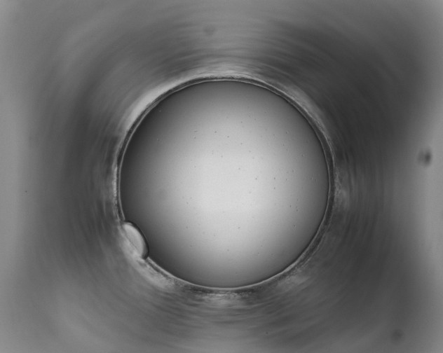 X0000111251388200907091413