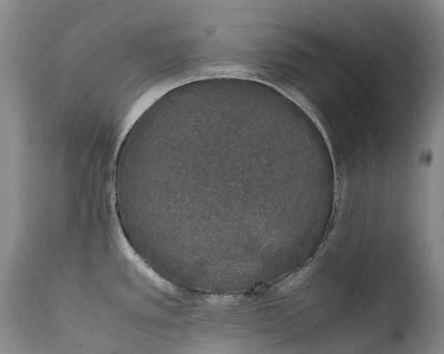 X0000111251389200907091413